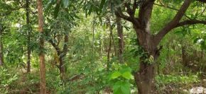 Kandalama Forest Villa Dambulla